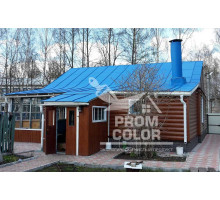 Краска резиновая Prom color