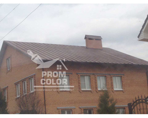 Краска резиновая Prom color